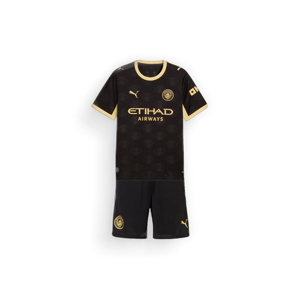 Manchester City 3rd Kit Including Socks
